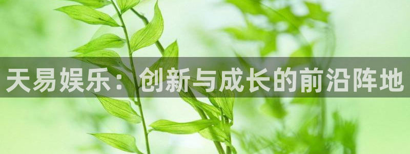 新航娱乐注册：天易娱乐：创新与成长的前沿阵地
