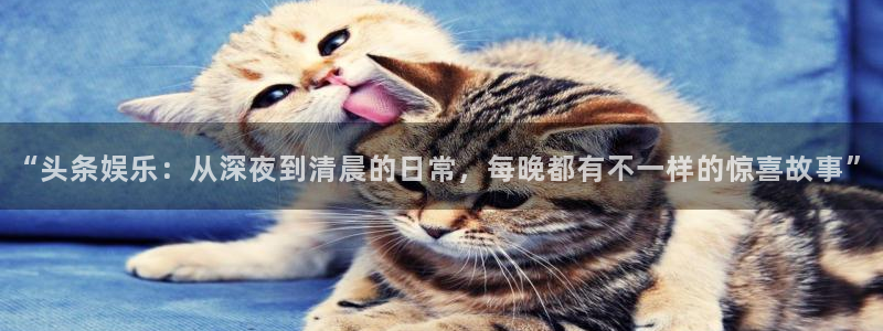 新航娱乐登录地址：“头条娱乐：从深夜到清晨的日常，每晚都有不一样的惊喜故事”