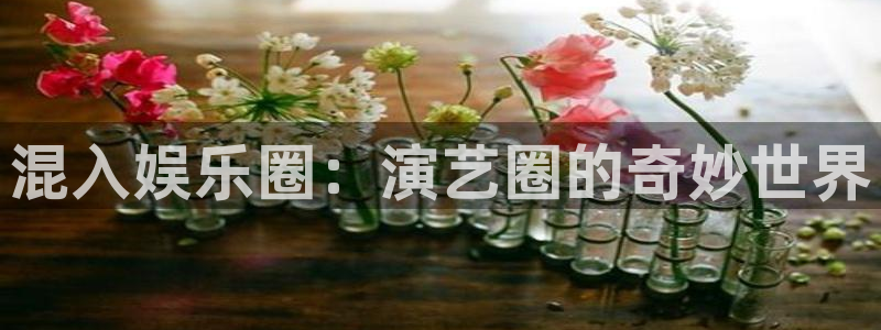 新航娱乐注册：混入娱乐圈：演艺圈的奇妙世界