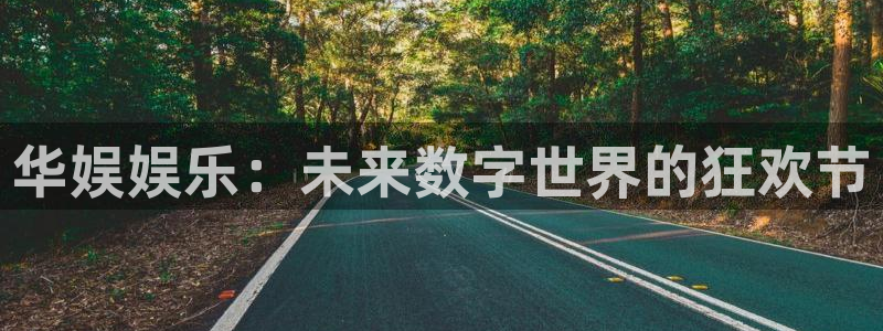 新航娱乐官网登录入口：华娱娱乐：未来数字世界的狂欢节