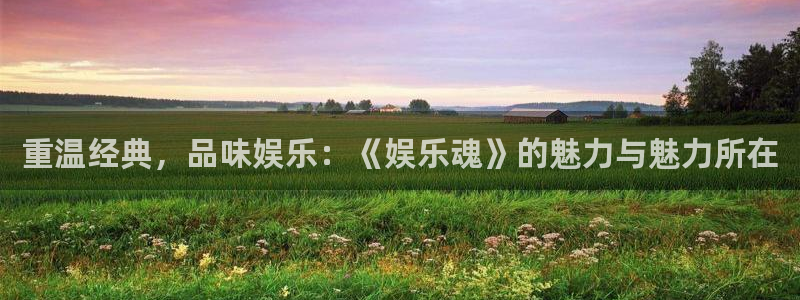 新航娱乐：重温经典，品味娱乐：《娱乐魂》的魅力与魅力所在