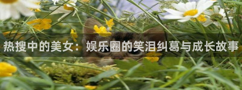 新航娱乐官网登录入口：热搜中的美女：娱乐圈的笑泪纠葛与成长故事