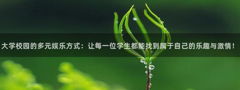 新航娱乐官网：大学校园的多元娱乐方式：让每一位学生都能找到属于自己的乐趣与激情！