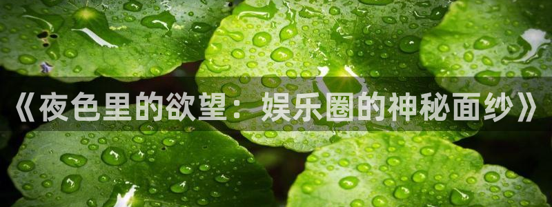 新航娱乐：《夜色里的欲望：娱乐圈的神秘面纱》