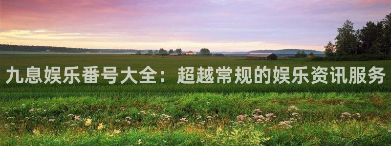 新航娱乐官网登录入口：九息娱乐番号大全：超越常规的娱乐资讯服务