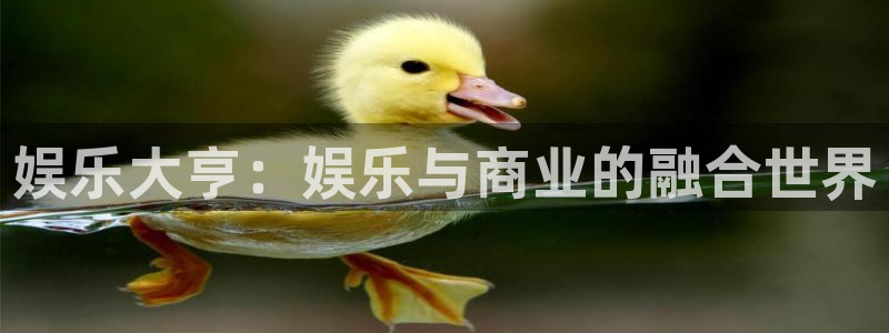新航娱乐官网：娱乐大亨：娱乐与商业的融合世界