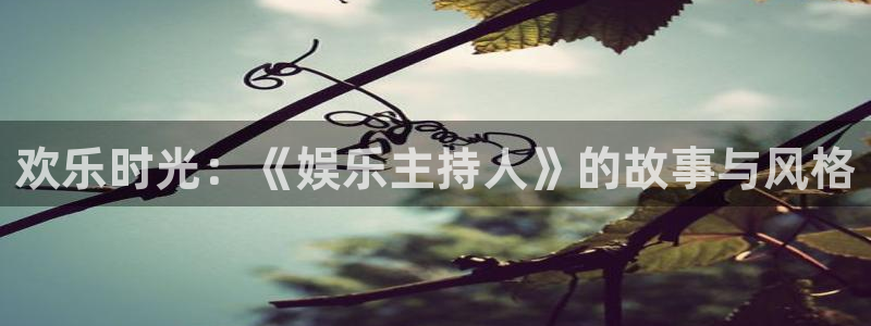 新航娱乐官网